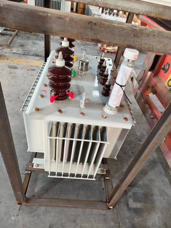 S13‑1000kVA <a href='https://ninglang.xdbyq.cn/youjinshi/' target='_blank' title='宁蒗油浸式变压器'><strong>宁蒗油浸式变压器</strong></a> 大型厂区 S13 宁蒗宁蒗宁蒗油浸式变压器 S13‑1000kVA 宁蒗宁蒗宁蒗油浸式变压器 大型厂区 S13 宁蒗宁蒗宁蒗油浸式变压器